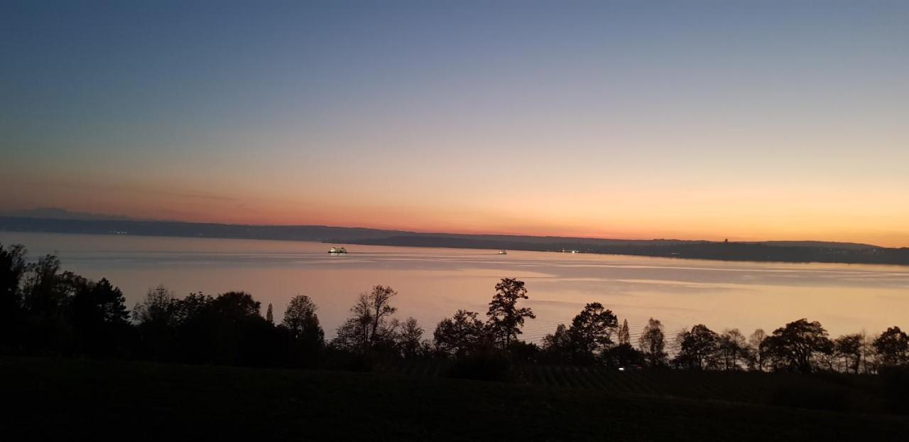 Lakeview Penthouse Meersburg Esterno foto