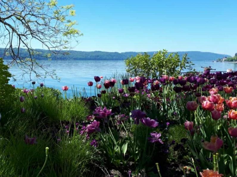 Lakeview Penthouse Meersburg Esterno foto