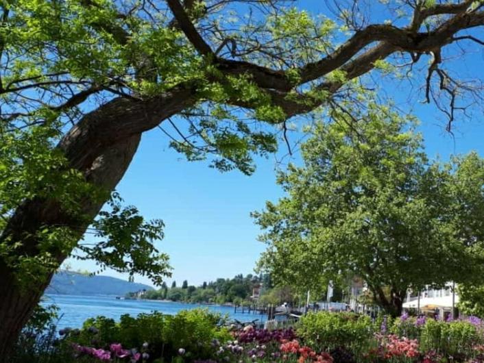 Lakeview Penthouse Meersburg Esterno foto