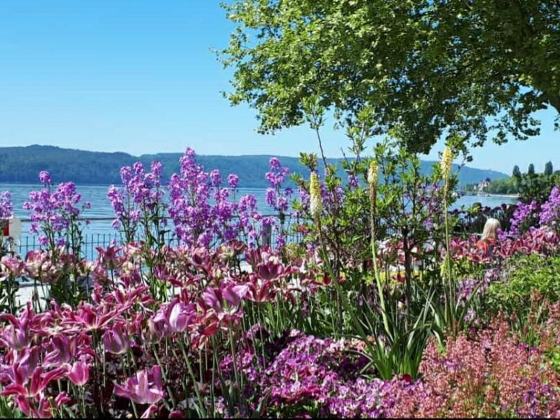 Lakeview Penthouse Meersburg Esterno foto